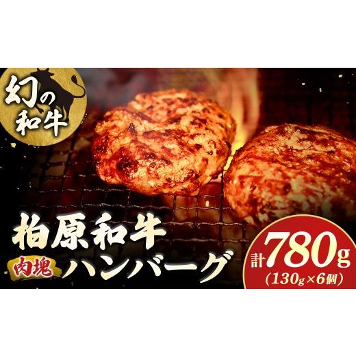 ふるさと納税 肉 ハンバーグ 宮崎県 小林市 幻の和牛 「柏原和牛」 肉塊780g(ハンバーグ) 国産 黒毛和牛 宮崎牛 牛肉 ハンバーグ 冷凍 宮崎県 小林市