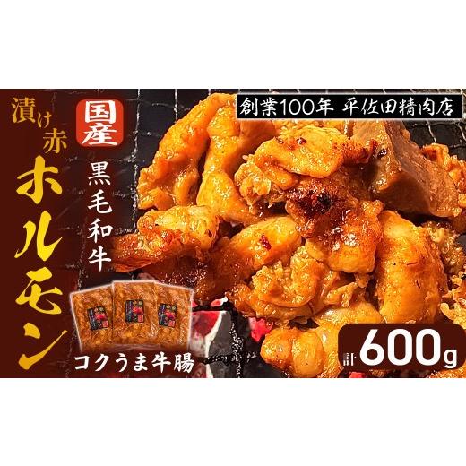 ふるさと納税 牛肉 ホルモン 宮崎県 小林市 漬け赤ホルモン コクうま牛腸 600g 焼肉 BBQ 人気 ホルモン ホルモン焼き ホルモン肉 味付きホルモン 味付けホルモ…