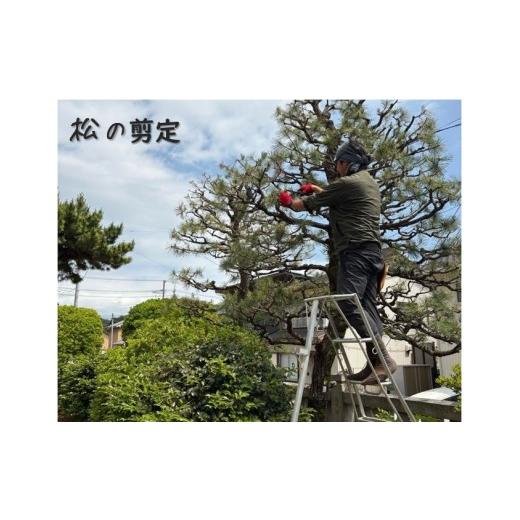 ふるさと納税 イベントやチケット等 愛知県 蒲郡市 G0781 お庭のお手入れサービス(剪定・伐採・除草)10,000円分 蒲郡市内対象