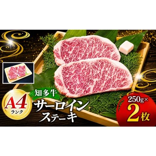 ふるさと納税 牛肉 サーロイン 愛知県 美浜町 知多牛 高級4等級 サーロインステーキ 250g2枚 北海道・沖縄・離島への配送不可 | 牛 ウシ サーロイン ステーキ…