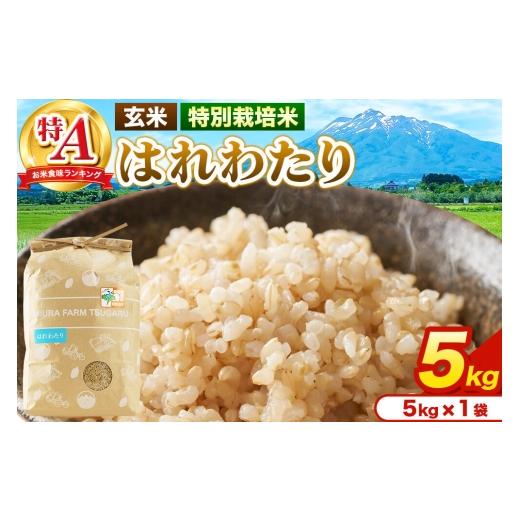 ふるさと納税 玄米 青森県 弘前市 米 特別栽培米 はれわたり 玄米 5kg(5kg×1袋)令和7年産 特A 青森県弘前市産 5キロ はれわたり 特別栽培米 玄米 ブランド…