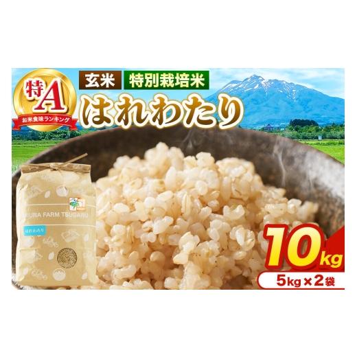 ふるさと納税 玄米 青森県 弘前市 米 特別栽培米 はれわたり 玄米 10kg(5kg×2袋)令和7年産 特A 青森県弘前市産 10キロ 5キロ 小分け はれわたり 特別栽培米…