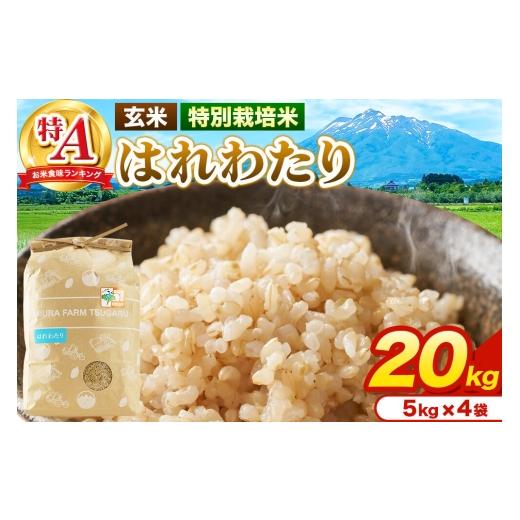 ふるさと納税 玄米 青森県 弘前市 米 特別栽培米 はれわたり 玄米 20kg(5kg×4袋)令和7年産 特A 青森県弘前市産 20キロ 5キロ 小分け はれわたり 特別栽培米…