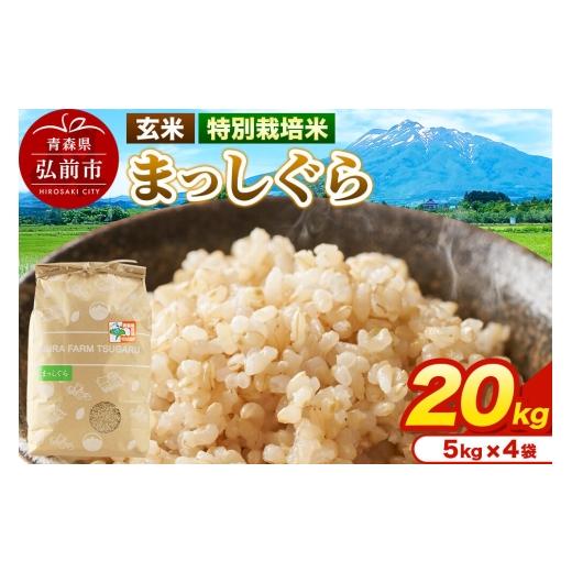 ふるさと納税 玄米 青森県 弘前市 米 特別栽培米 まっしぐら 玄米 20kg