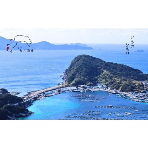 ふるさと納税 干物 アジ 高知県 大月町 あじの開き 恋あじ 特大 5枚入り 700g 特上 高級干物 アジ干物 鯵開き 焼き魚 個包装 冷凍 真空パック 天日塩 塩干し …_6