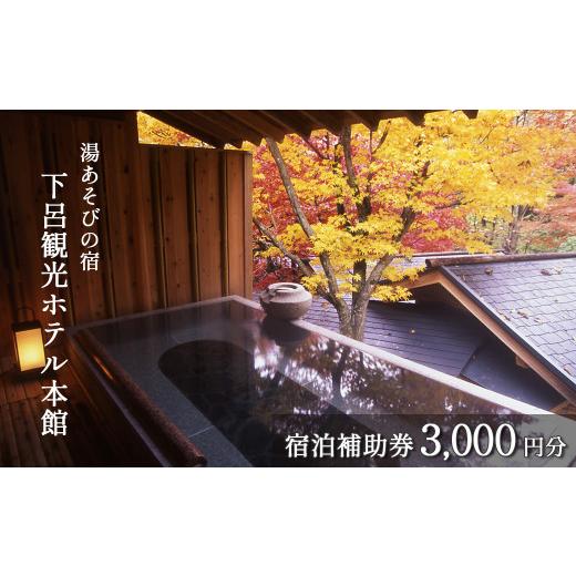 ふるさと納税 宿泊券 旅館・民宿 岐阜県 下呂市 下呂温泉 下呂観光ホテル 宿泊補助券(3,000円分)旅館 宿泊券 温泉 旅行 東海 中部 岐阜県 宿泊補助券 3,000…