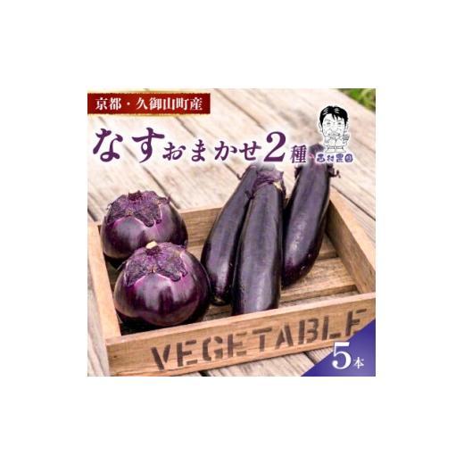 ふるさと納税 野菜類 茄子 京都府 久御山町 なす2種類おまかせ5本 (賀茂なす・水なす・フルーツなす・千両なす・ふわとろ長なす) 1733733