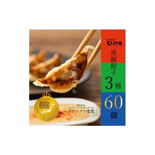 ふるさと納税 餃子 鹿児島県 南九州市 ひぃ坊家の黒豚餃子3種60個 (タレ付) 1739863