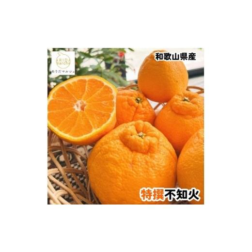 ふるさと納税 みかん・柑橘類 和歌山県 かつらぎ町 特選 濃厚 不知火 約1kg+200g(傷み補償分) 2027年1月下旬〜3月下旬に順次発送 AA-ard256
