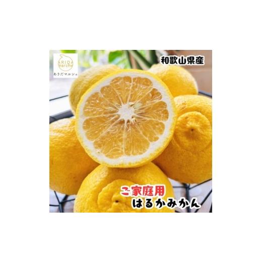 ふるさと納税 みかん・柑橘類 デコポン 和歌山県 かつらぎ町 訳あり・ご家庭用 人気柑橘 有田育ちの はるか みかん 約1kg+200g(傷み補償分) 2027年1月下旬〜2…