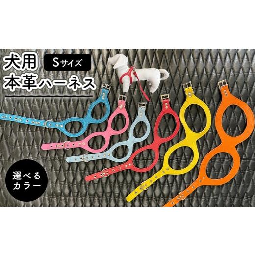 ふるさと納税 雑貨・日用品 愛知県 春日井市 スカイブルー 犬用・本革ハーネス Sサイズ | ハーネス 犬 おしゃれ スカイブルー