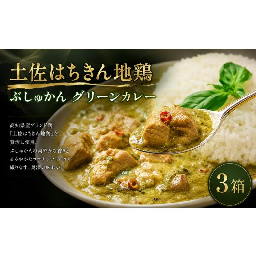 ふるさと納税 豚肉 カレー・シチュー 高知県 室戸市 土佐はちきん地鶏 グリーンカレー 3箱 180g チキンカレー おすすめ curry かれー かれーらいす 惣菜 おか…