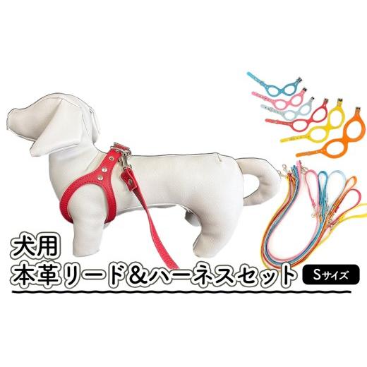 ふるさと納税 雑貨・日用品 愛知県 春日井市 犬用・本革リード、ハーネスセット Sサイズ | リード ハーネス セット 犬 おしゃれ