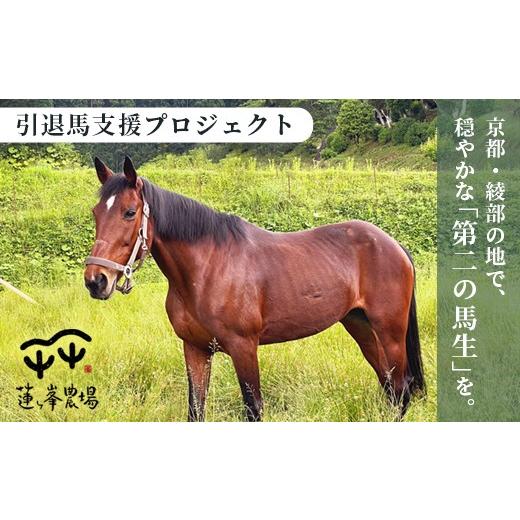 ふるさと納税 感謝状等 京都府 綾部市 引退馬 飼育支援:寄付金額3,000円(返礼品なし) / 寄付 馬 支援 綾部市 / 株式会社For youふぁーむ[BSCA024] 寄付…