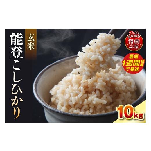 ふるさと納税 米 コシヒカリ 石川県 輪島市 スピード配送 令和7年産 能登コシヒカリ10kg 玄米 残留農薬検出ゼロ wa084-005-sp スピード配送 10kg