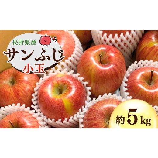 ふるさと納税 りんご 長野県 千曲市 千曲市産 サンふじ りんご 約5kg 小玉 訳あり 家庭用 | 林檎 リンゴ アップル 果物 くだもの フルーツ 5キロ わけあり 訳…