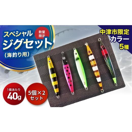 ふるさと納税 雑貨・日用品 玩具 大分県 中津市 Dragonシリーズ 中津市限定スペシャルジグセット 40g×5個 2セット 限定カラー 数量限定 | Dragon 中津市限定…