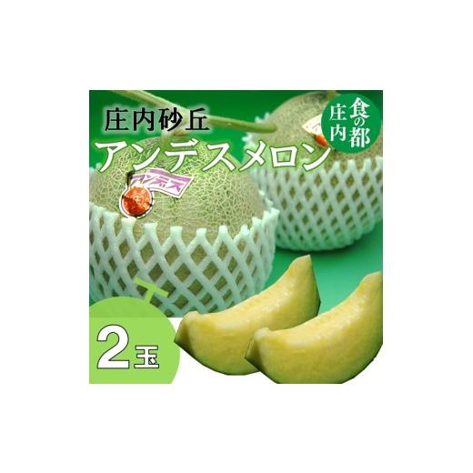 ふるさと納税 メロン メロン青肉 山形県 三川町 令和8年産 食の都庄内 庄内のアンデスメロン(2玉) 2026年7月上旬〜8月上旬頃発送