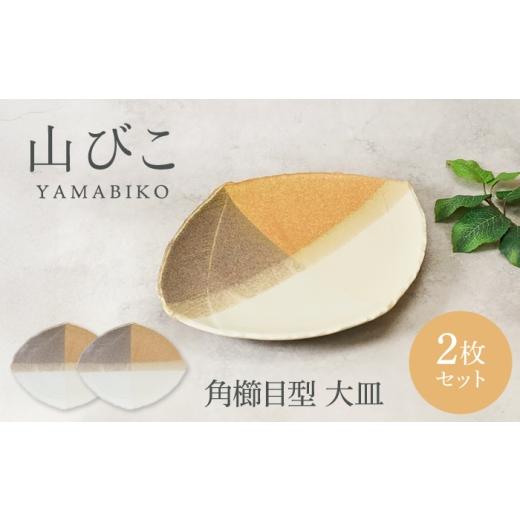 ふるさと納税 食器・グラス 大皿 岐阜県 土岐市 美濃焼 山びこ 角櫛目型 大皿 2枚セット カネ定製陶 プレート 食器セット 和食器