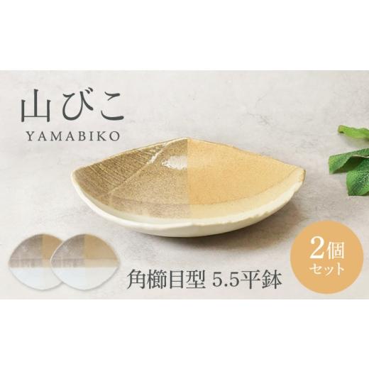 ふるさと納税 食器・グラス 皿 岐阜県 土岐市 美濃焼 山びこ 角櫛目型 5.5平鉢 2個セット カネ定製陶 プレート 食器セット 和食器