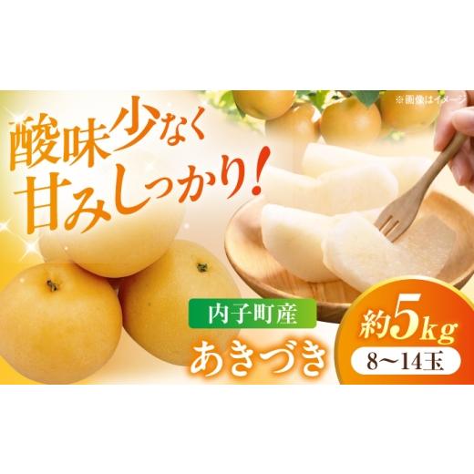 ふるさと納税 梨 愛媛県 内子町 先行予約 内子町産 梨 あきづき 8〜14玉 化粧箱入 (9月上旬から9月下旬の間に順次発送)