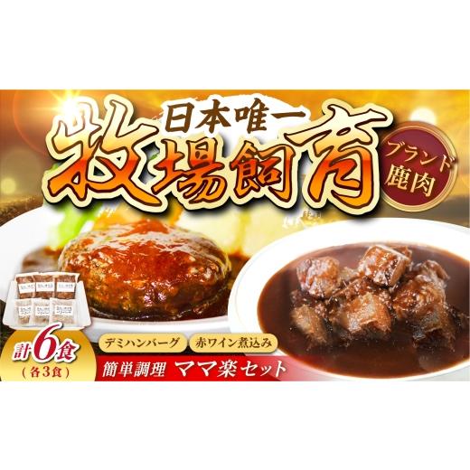ふるさと納税 牛肉 ハンバーグ 長崎県 - ママ楽セット(デミハンバーグ120g×3パック、赤ワイン煮込み180g×3パック)長崎県/株式会社ディアー・カンパニー 4…
