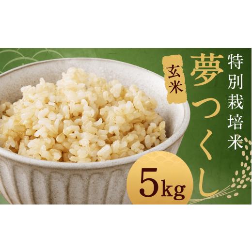 ふるさと納税 玄米 福岡県 柳川市 玄米 夢つくし (特別栽培米) 約5kg 福岡県産 令和7年産 玄米 米 こめ コメ 玄米5kg_令和7年度産