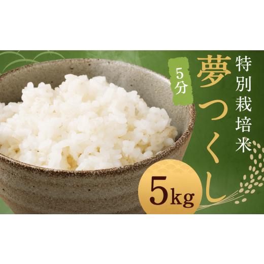 ふるさと納税 米 福岡県 柳川市 5分 夢つくし (特別栽培米) 約5kg 福岡県産 令和7年産 米 こめ コメ 5分5kg_令和7年度産