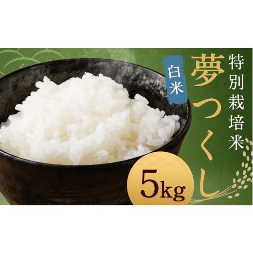 ふるさと納税 米 福岡県 柳川市 白米 夢つくし (特別栽培米) 約5kg 福岡県産 令和7年産 米 こめ コメ 白米5kg_令和7年度産
