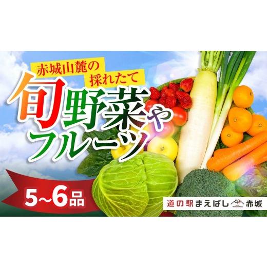 ふるさと納税 セット・詰合せ 群馬県 前橋市 季節の旬の野菜 詰め合わせ 5~6品 | 野菜 朝採れ 旬野菜 群馬県産 産地直送 美味しい サラダ スープ 農家 新鮮野…
