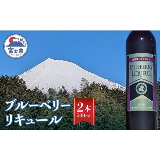 ふるさと納税 お酒 リキュール 静岡県 富士市 リキュール ブルーベリー酒 500mL 2本入 お酒 洋酒 果実酒 フルーティー アルコール10度 ストレート ロック 炭酸…