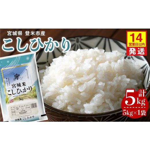 ふるさと納税 米 コシヒカリ 宮城県 登米市 14営業日以内に発送予定 令和7年産 コシヒカリ 5kg×1袋 登米市産 お米 おこめ 米 コメ こしひかり 白米 ご飯 ご…