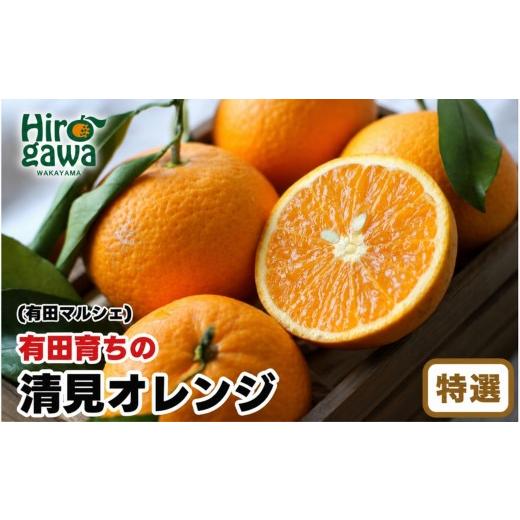 ふるさと納税 みかん・柑橘類 オレンジ 和歌山県 広川町 産地直送 有田 育ちの 特選 完熟 清見 オレンジ 7.5kg+200g(補償分) / みかん 甘い オレンジ フルー…