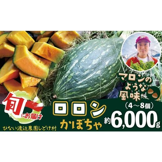ふるさと納税 野菜類 秋田県 大館市 カボチャ 旨味がトロけるロロンで幸せな一時を 6000g 160P3201 / 東北 秋田 大館 野菜 新鮮 農産物 農家 かぼちゃ カボ…