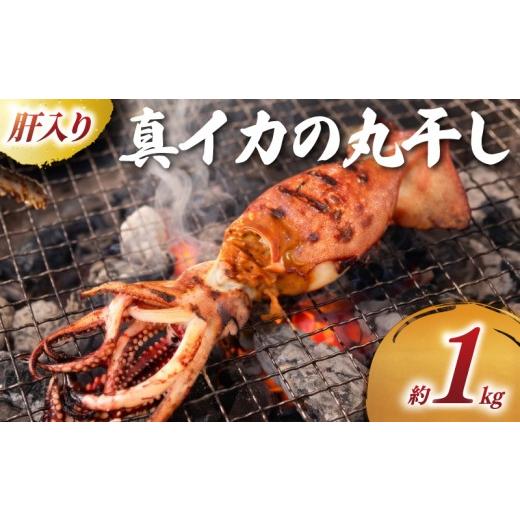 ふるさと納税 イカ 千葉県 旭市 訳あり 真イカ の 丸干し 約 1kg スルメイカ イカ 一夜干し 干物 天日干し わけあり 訳有 ゴロ干し 干し 肝入り 肝 海の幸 海 …