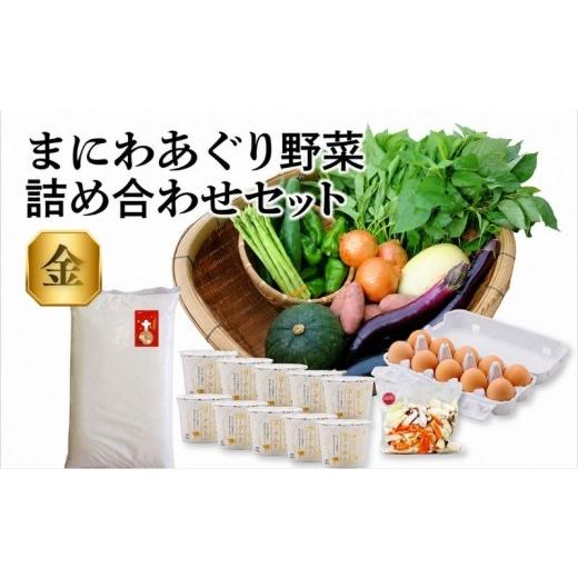 ふるさと納税 セット・詰合せ 岡山県 真庭市 真庭あぐり野菜セット 詰め合わせセット 金 (野菜10品・卵・ヨーグルト・お米) / 産地直送 農家 お試し 岡山県…