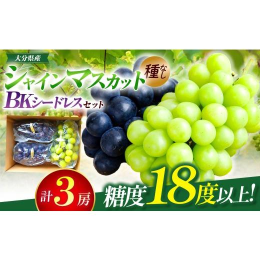 ふるさと納税 ぶどう マスカット 大分県 中津市 先行予約 シャインマスカット (1房) BKシードレス (2房) 約1.8kg | フルーツ 果物 くだもの ぶどう ブドウ 葡…