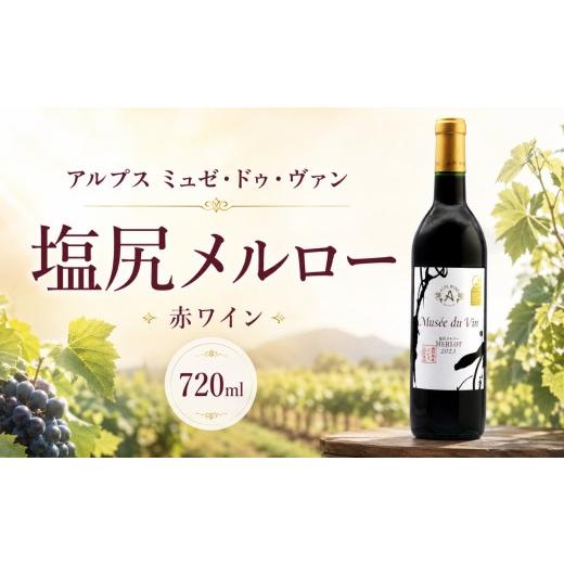 ふるさと納税 ワイン 赤ワイン 長野県 塩尻市 アルプス ミュゼドゥヴァン 塩尻メルロー | ワイン 赤 赤ワイン アルプス ミュゼドゥヴァン Mdv メルロー メル…
