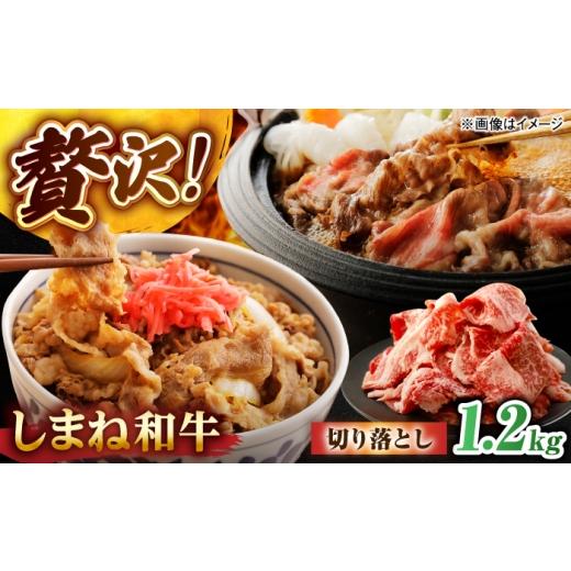ふるさと納税 牛肉 炒め物 島根県 松江市 しまね和牛切り落とし 1.2kg(600g×2パック)? 島根県松江市/株式会社さんれいフーズ ALFR021 |切り落とし肉 和牛 …