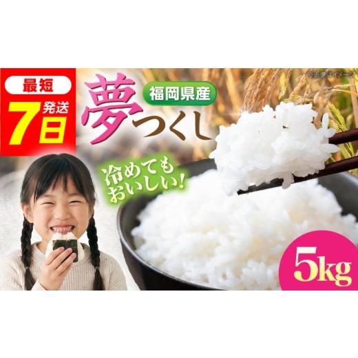 ふるさと納税 米 福岡県 豊前市 令和7年度産 楠本農園 夢つくし 精米 5kg [豊前市] 楠本農園(93farm) お米 米 白米 ゆめつくし ご飯