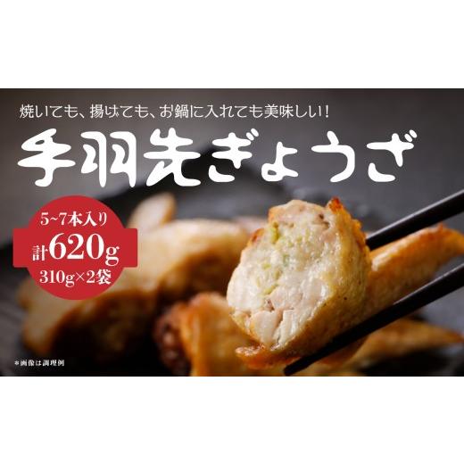 ふるさと納税 鶏肉 手羽 青森県 八戸市 プライフーズ 手羽先餃子 5〜7本 × 2袋セット 1袋310g 合計620g 冷凍 ギョウザ 青森県 八戸市