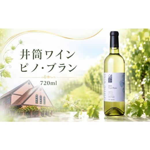 ふるさと納税 ワイン 白ワイン 長野県 塩尻市 井筒ワイン ピノ・ブラン GI長野認定品 | ワイン 井筒ワイン ピノ・ブラン 白 白ワイン 辛口 GI長野認定品 ぶど…