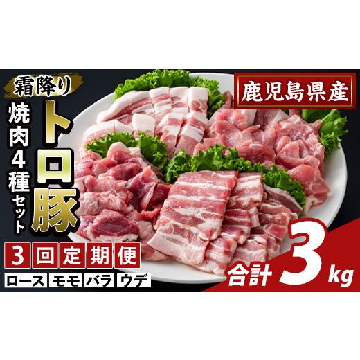 ふるさと納税 豚肉 焼肉・バーベキュー 鹿児島県 霧島市 K-379-D 3回定期便 鹿児島県産霜降りトロ豚 焼肉用バラエティセット(計3kg) ふるさと産直バザール 霧…