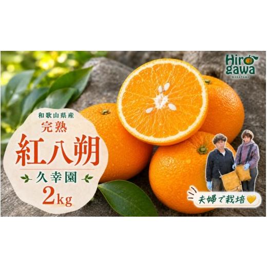 ふるさと納税 みかん・柑橘類 和歌山県 広川町 完熟 紅八朔 2kg 久幸園 / はっさく 甘い 和歌山 柑橘 4月上旬〜5月上旬頃に順次発送予定 hsk022-beni-2