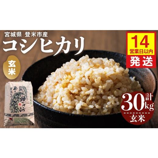 ふるさと納税 玄米 宮城県 登米市 14営業日以内に発送予定 令和7年産 コシヒカリ 玄米 30kg×1袋 登米市産 お米 おこめ 米 コメ こしひかり ご飯 ごはん おに…