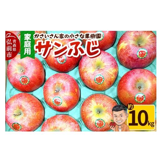ふるさと納税 りんご 青森県 弘前市 26年12月〜発送 りんご サンふじ 約10kg 家庭用 アップル おいしい 果実 果物 赤色 美味 26年12月〜発送 約10kg 18,000円