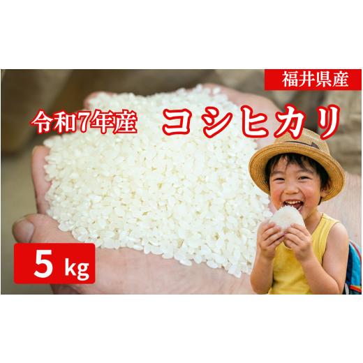 ふるさと納税 玄米 福井県 勝山市 ふるさと納税 令和7年産 勝山市産 農業人生60年小林さんのコシヒカリ 精米 5キロ / 選べる お米 米 ご飯 ブランド米 こし…