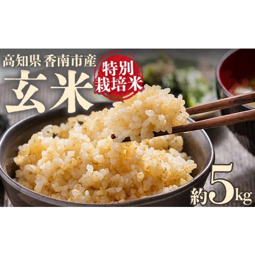 ふるさと納税 玄米 高知県 香南市 令和8年度産 玄米(特別栽培米)5kg 8月下旬以降順次配送 お米 こめ コメ げんまい おにぎり お弁当 毎日のご飯 特別栽培米…