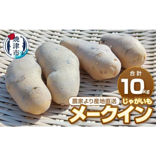ふるさと納税 野菜類 じゃがいも 静岡県 焼津市 a10-1267 じゃがいも メークイン 農家より産地直送 5kg×2