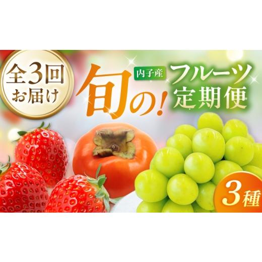 ふるさと納税 地域のお礼の品 愛媛県 内子町 3回定期便 ぶどう・柿・いちご 旬のフルーツ定期便 北海道・沖縄配送不可 /かき カキ ブドウ 葡萄 いちご 苺 イ…